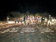 Confirman que la avioneta proveniente de Bolivia que cayó en Salta llevaba más de 360 kilos de cocaína