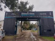 Con Vélez en el horizonte, Gimnasia no se entrenó: por la falta de pago el plantel decidió parar