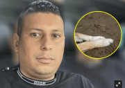 Muerte de un perrito por una brutal golpiza tiene ardida a Colombia