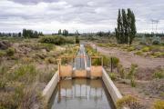 A un valle de Neuquén lo rodea el agua, pero el riego no le alcanza: Es un techo para el desarrollo