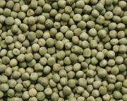 La producción de legumbres marcó un nuevo récord en 2025