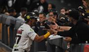 LVBP: Leones del Caracas espera la llegada de hasta cinco grandesligas