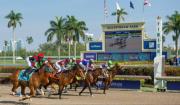 Debut prometedor: Jockey venezolano se estrena este sábado en Gulfstream Park