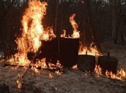 FANB destruyó campamento de minería ilegal en Amazonas