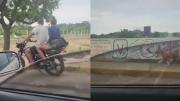 VIDEO INDIGNANTE: Desalmados amarraron a perrito a una moto y lo halaron en plena avenida de Maracaibo