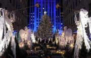 Llegó al Rockefeller Center su famoso árbol de Navidad