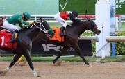 El sueño americano: Jinete venezolano Carlos Martínez sella su primera victoria en Gulfstream Park