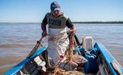 Pescadores santafesinos protestan contra la suspensión del acopio de pescado para exportación: Que se revierta
