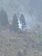 A más de un mes del verano, el Splif registró cuatro incendios forestales en tres días en Bariloche