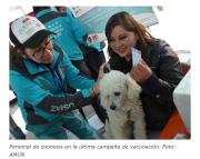 La Paz alista campaña masiva de vacunación antirrábica y espera llegada de biológicos al país