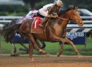Sangre de Japón en La Rinconada: La descendiente del gran semental debuta el domingo en 1.800 metros