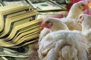 Con la baja del dólar paralelo bajan los precios de productos de limpieza, pero la carne de pollo sube por falta de maíz