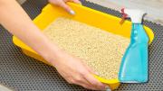 Por qué hay que rociar vinagre en la caja del gato: ¿qué significa?