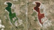 El segundo lago más salado del mundo cambio de color esmeralda a rojo y se ve desde el espacio: ¿Por qué?