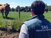 Paro del SAG genera preocupación en Magallanes