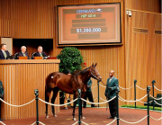 Pedro Lanz agente venezolano bajó el martillo por un ganador de pruebas de grado en $1.300.000