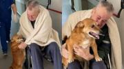 VIDEO VIRAL: El tierno reencuentro de un hombre y su perro tras más de dos meses hospitalizado