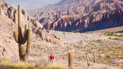 Descubrí Salta: dónde está el pueblo con lugares icónicos, coloridos y muy lindos