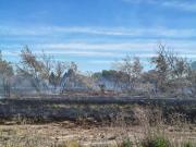 Incendio en Roca: bomberos movilizados en el Paseo del Bicentenario