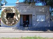 Millonario robo en la Sociedad Rural de Bolívar tras un festival de jineteada