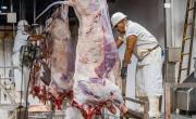 La producción bovina nacional muestra leve repunte y señales de ajuste en octubre