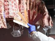 Amplias perspectivas para la exportación en el sector ganadero