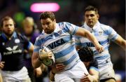 Los Pumas con equipo confirmado para enfrentar a Escocia en un duelo trascendental rumbo al Mundial 2027