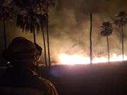 Incendios: Más de 50 mil hectáreas fueron afectadas por el fuego en Otuquis