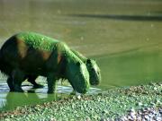 Humedales: Son los aliados naturales contra el cambio climático