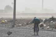 Calor, viento y hasta tormentas en Neuquén y Río Negro: se esperan ráfagas de casi 70 km/h en el Alto Valle