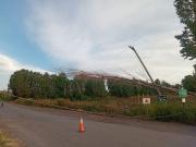 Masivo apagón en Allen y Balsa Las Perlas este sábado: el viento arrojó árboles sobre las líneas troncales