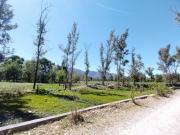 Tradición, Costumbre, hábitos o rutinas en la cultura nuestra