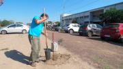 El municipio bandeño plantó especies arbóreas en la Escuela Técnica N° 6