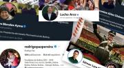 Líderes políticos en RRSS; Paz y Lara empiezan a crecer, pero Evo tiene más seguidores