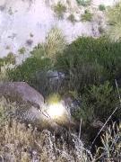 Hombre Pierde La Vida Tras Caer Con Su Vehículo A Un Profundo Barranco En Sector De Chiapa