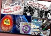 Efemérides del 17 de noviembre: Día Internacional de los Estudiantes – Contra el Cáncer de Pulmón – Del Prematuro