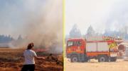 Llaman a evacuar sectores de Limache por incendio forestal: Senapred declara Alerta Roja