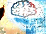 El geo-algoritmo del orden global