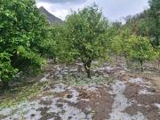 San Lucas, en los Cintis de Chuquisaca, reporta pérdida del 85% de su producción por granizadas