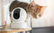 El boom de “pet tech”: nuevas tecnologías redefinen el cuidado de perros y gatos