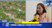 Granizada afecta a productores en Villa Alcalá
