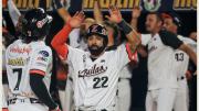 Juegos para este martes 18 de noviembre en la LVBP