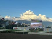 Sangre nueva: Cuatro nuevos yearlings llegan a La Rinconada para fortalecer el calendario hípico nacional