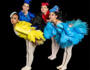 Alas que danzan, un espectáculo multisensorial une arte, conciencia y vida