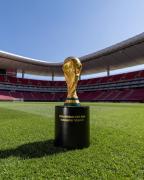 ¡El Camino a la Gloria! Bolivia enfrentará a Surinam e Irak por el boleto al Mundial 2026