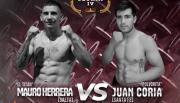 Llega al Delmi otra noche imperdible del boxeo con Camino a la Gloria IV