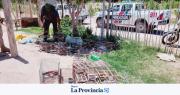 Sarmiento: secuestran 33 aves autóctonas en un operativo por venta ilegal