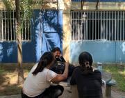 Estudiantes universitarios continúan uniendo esfuerzos por un futuro mejor