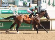 El apodado “Señor Churchill Downs” que estableció récord en Kentucky será retirado a la cría