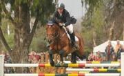 Concurso de Saltos Gran Premio Aniversario de La Plata en el Hípico
